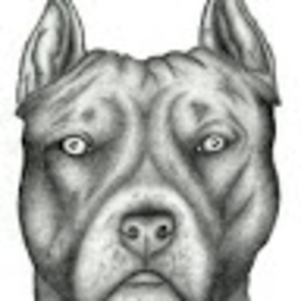 Meet your Posher, Galaxy